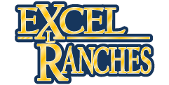 http://www.excel.conniebablitz.com/wp-content/uploads/2018/02/cropped-logo-small.png