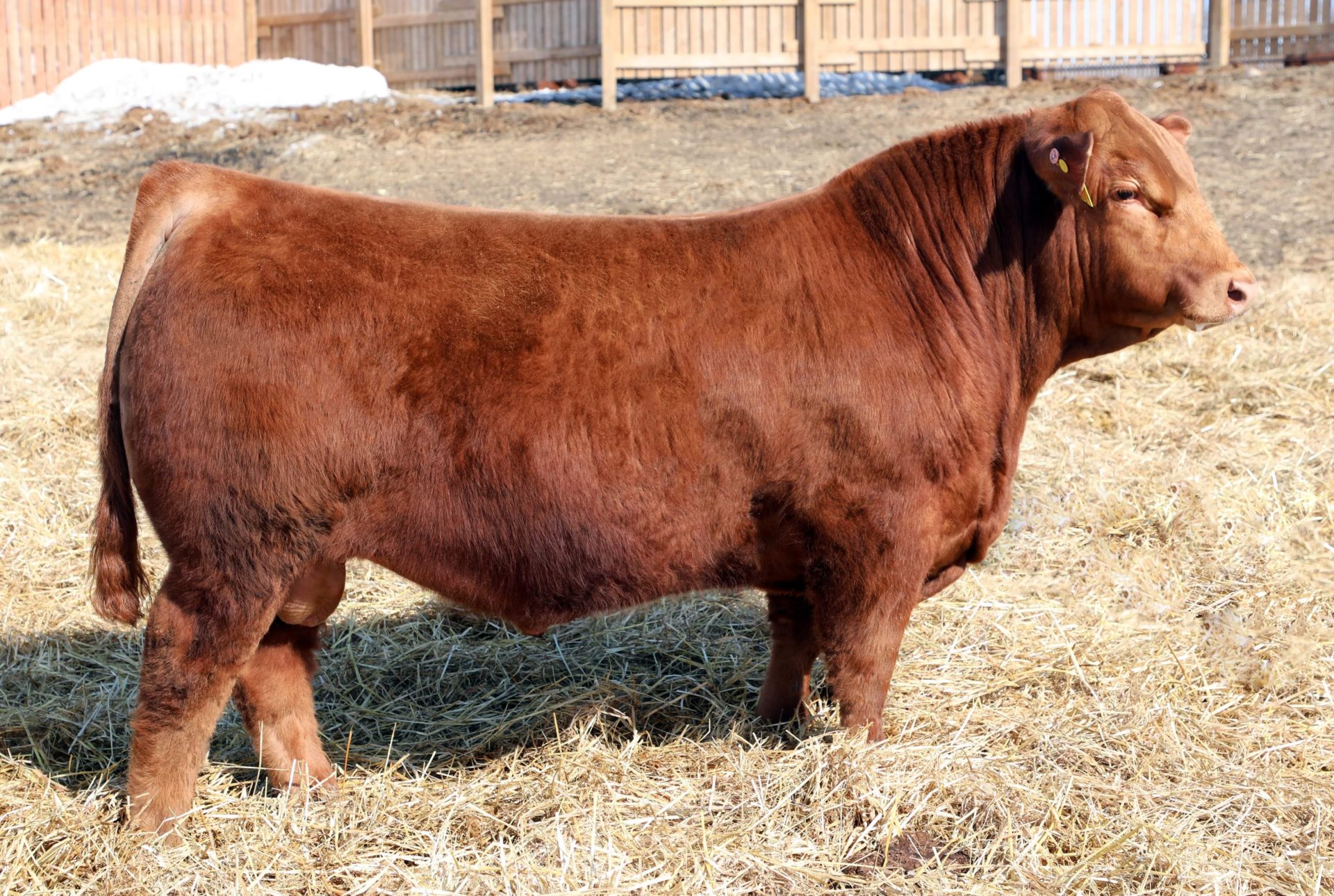 Excel Polled Jet Stream